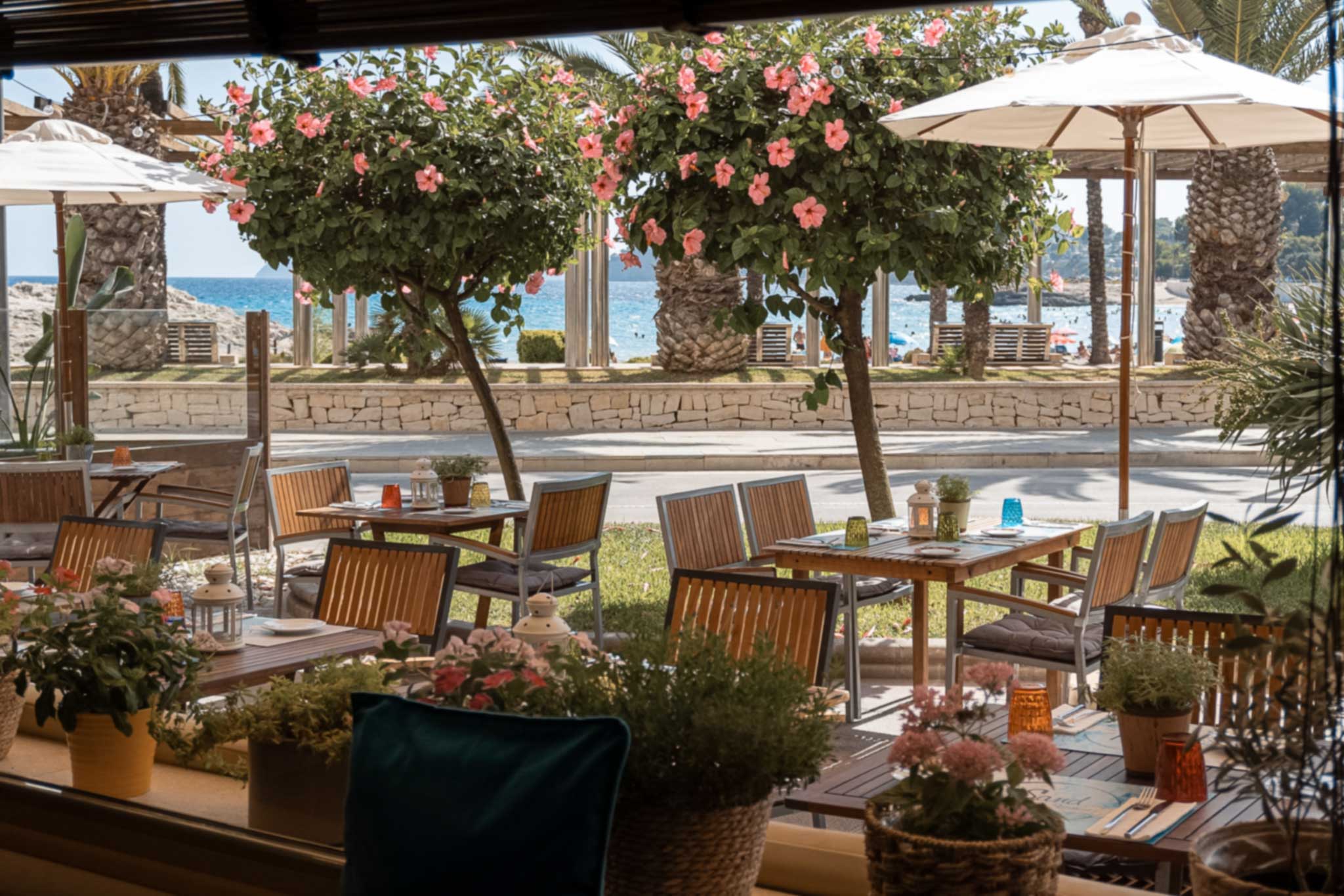 Restaurante Sand en Moraira: Sabor con vistas al Mediterraneo